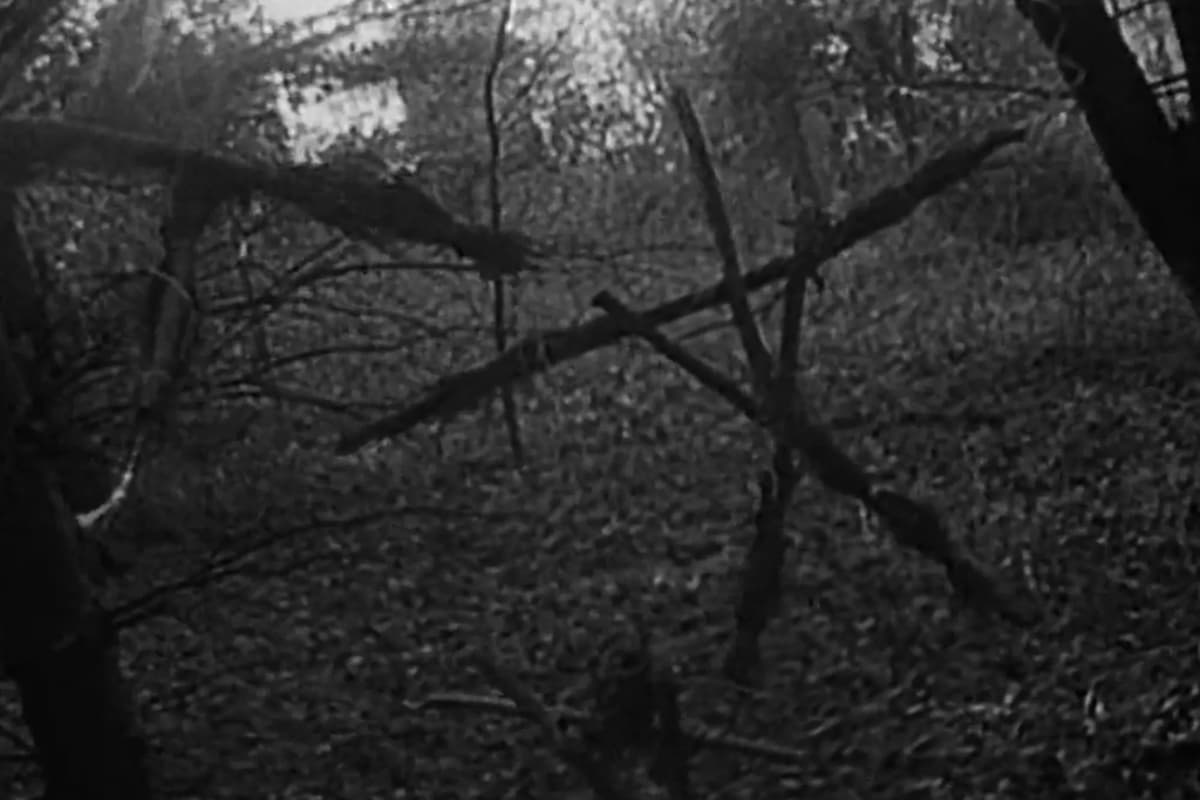 Esempi di guerrilla marketing di successo : Blair Witch Project